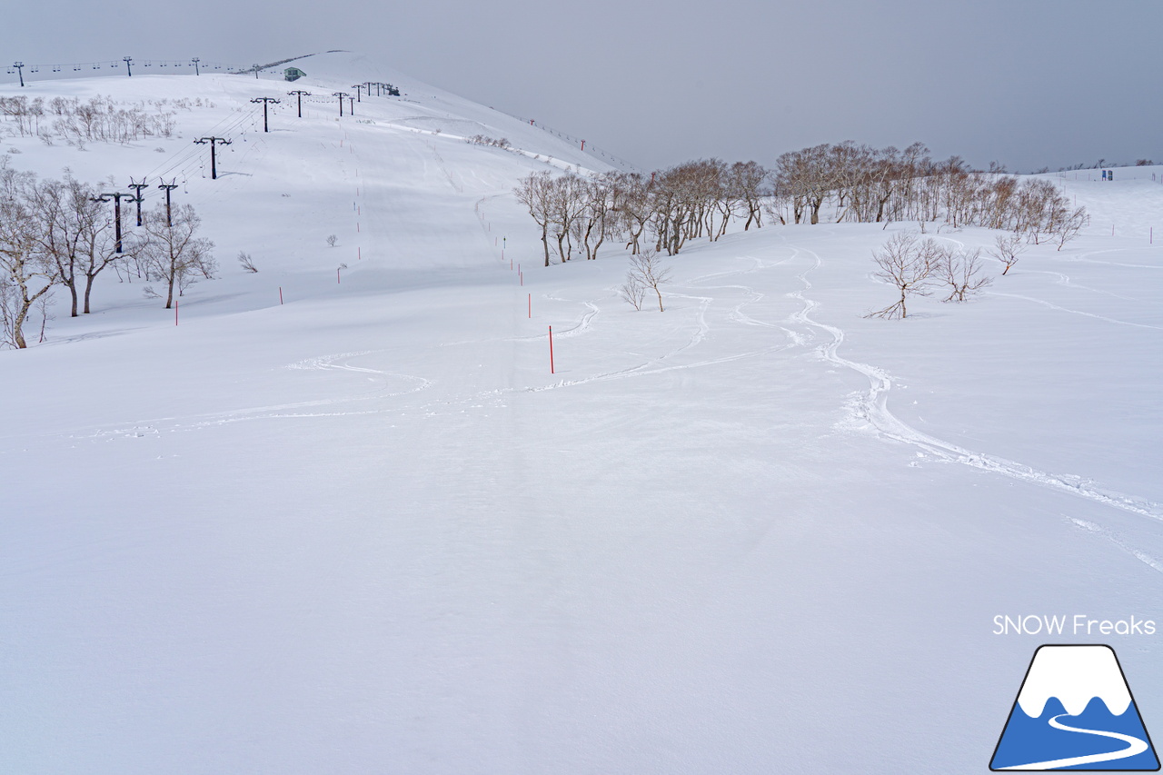 ニセコビレッジ ＆ ニセコ東急グラン・ヒラフ｜久しぶりの新雪で有終の美。ニセコビレッジスキーリゾート2022-2023シーズン営業最終日。